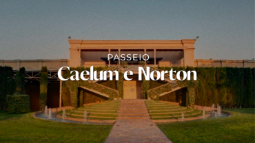 CAELUM - NORTON